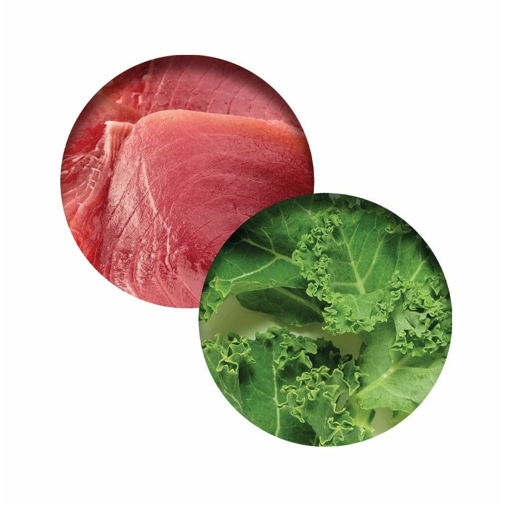 Catit Chicken Dinner, Tuna & Kale 80 g, - Image 2