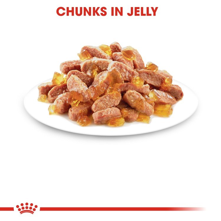 Feline Health Nutrition Kitten Jelly (Wet Food - Pouches) 85g - Image 3