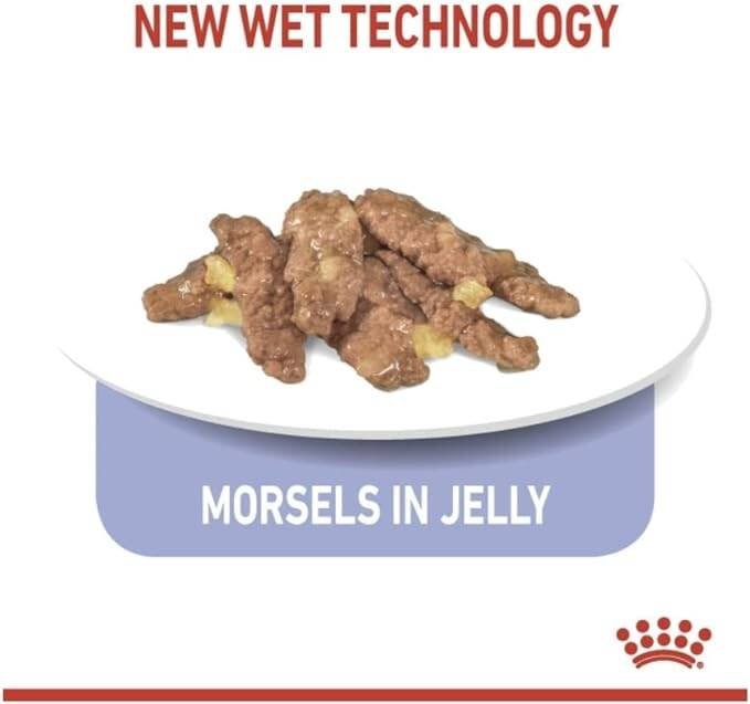 Royal Canin FELINE HEALTH NUTRITION INDOOR JELLY CAT WET FOOD - Image 3
